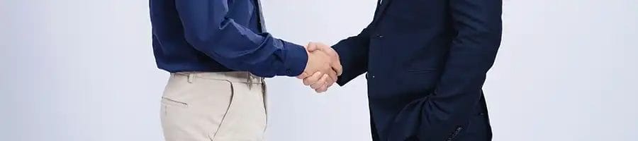 Shaking hands with a profsesional